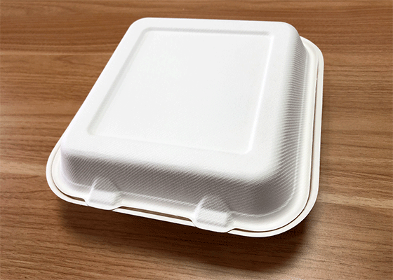 White Molded Fiber 1-Compartment Clamshell Food Container - 8L