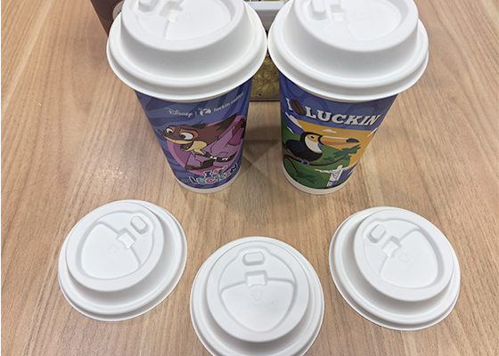 Molded Pulp Cup Lid