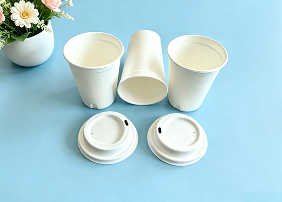 Molded pulp lid&cup